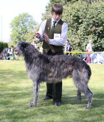 ch gentom peacemaker